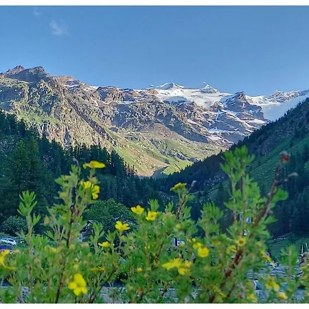 Punta Vittoria Sub 14 - Anderbatt Gressoney - 3 Locali - Cir N 0010